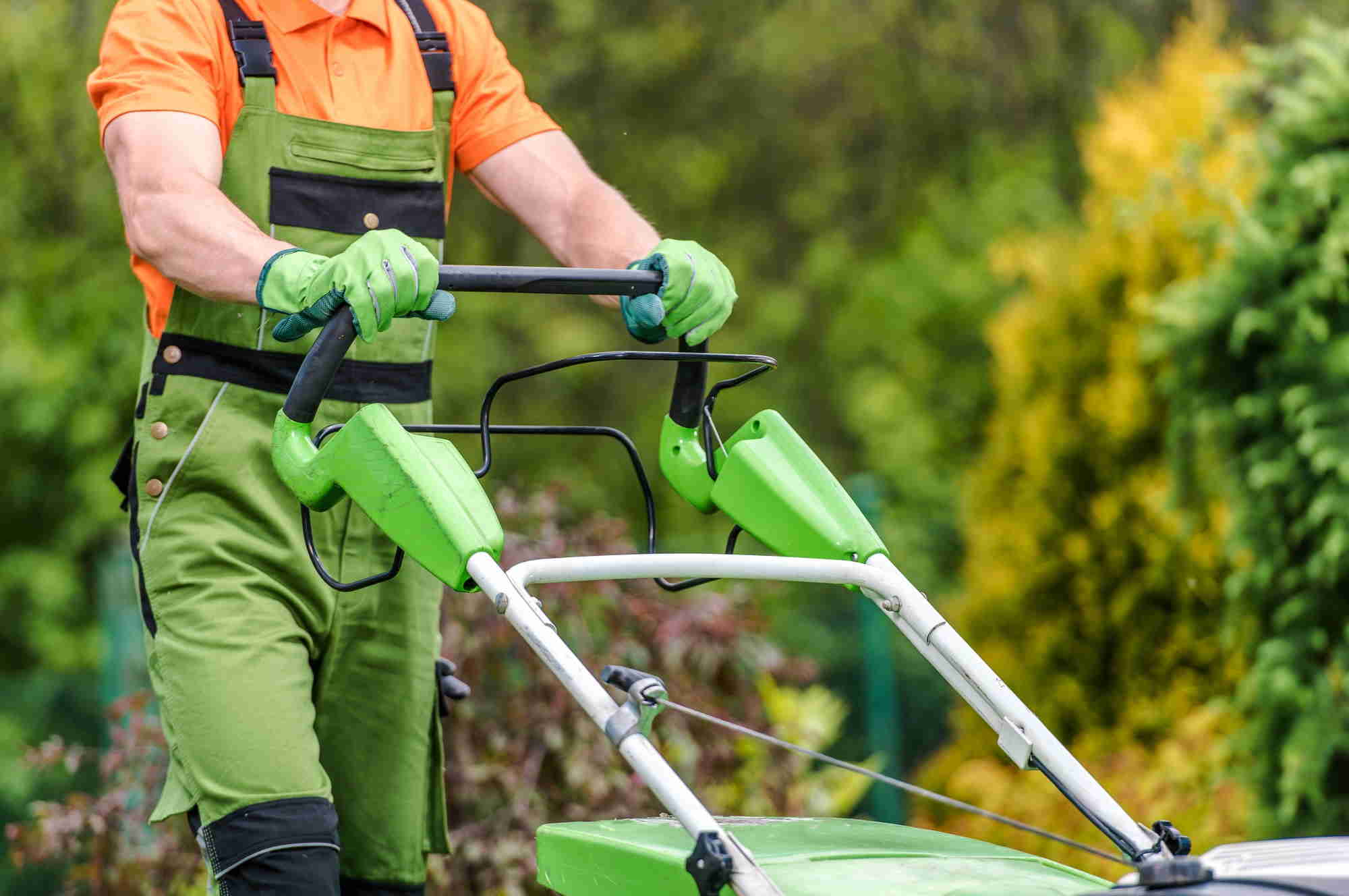 Gardener mowing lawn with green grass