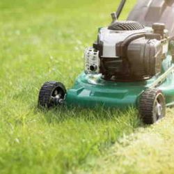 Lawn mower cutting green grass